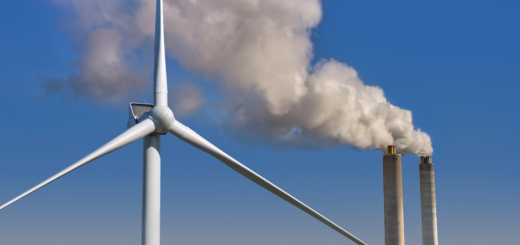 Webartikel: Klimaschutzprogramm