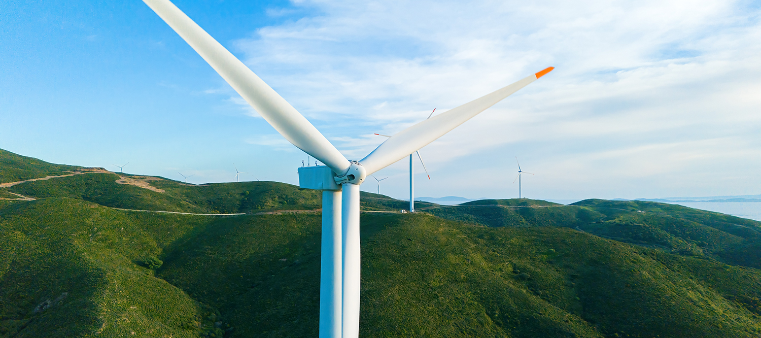 Artikel: Bürgerentscheid zu Windkraft am Lammerskopf